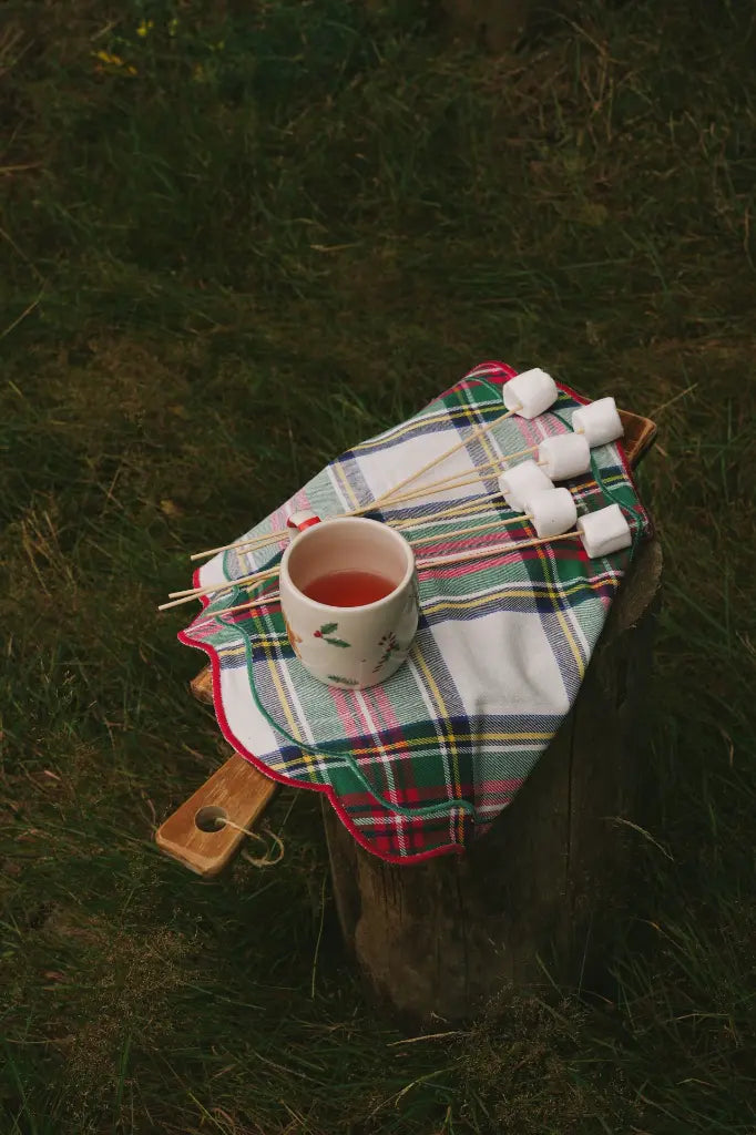 Placemats Highland Snow (Set van 2)