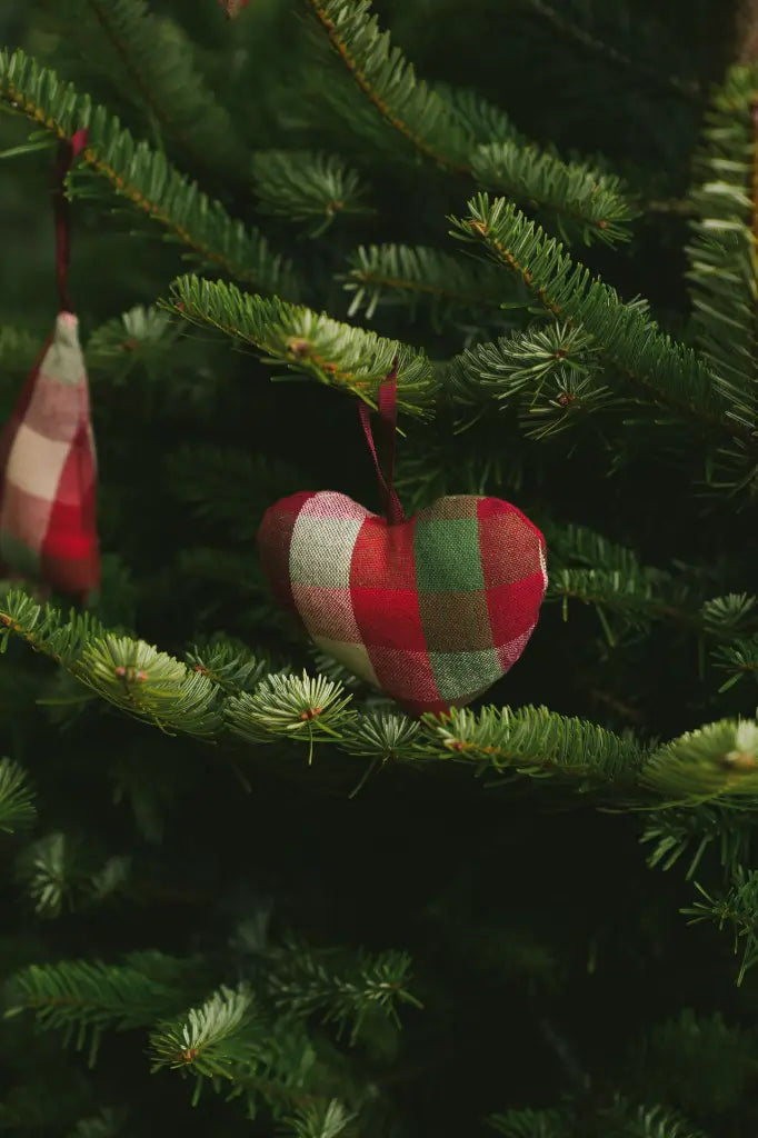 Kerstversiering Kantine Chili (Set van 4)