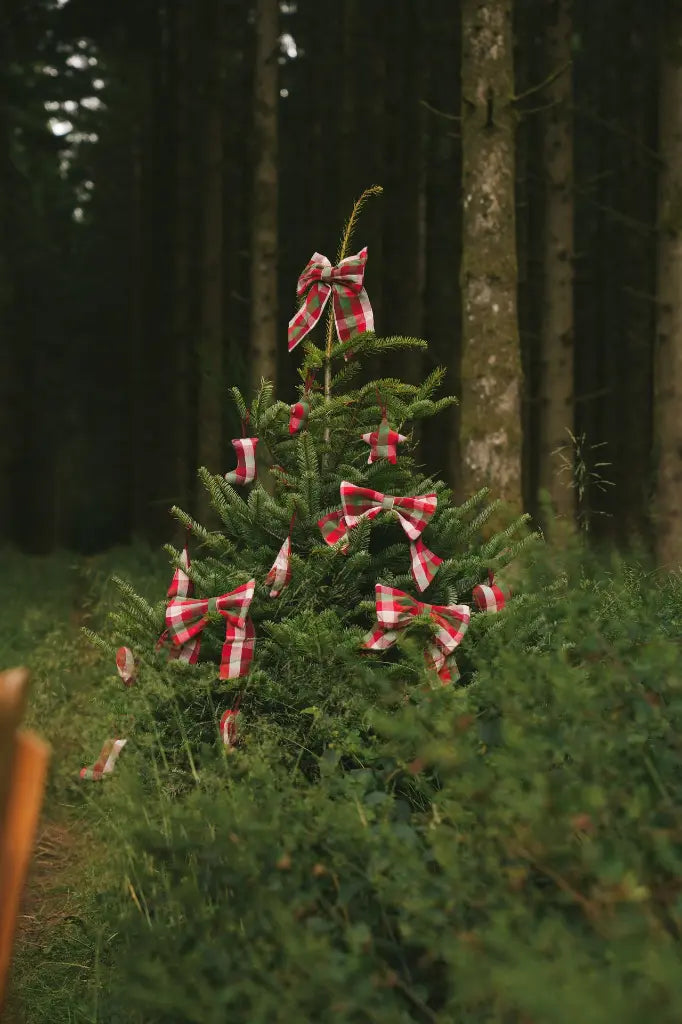 Kerstversiering Kantine Chili (Set van 4)