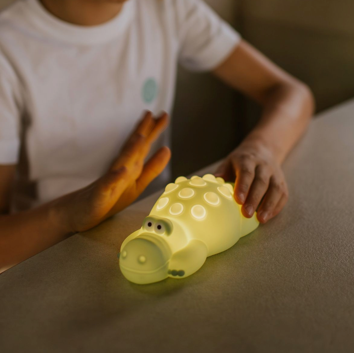 Nachtlamp krokodil - Mary's