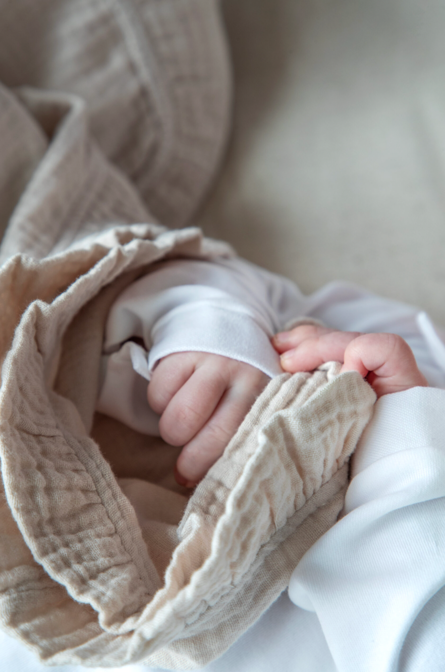 Deken Delphine - Living Nature