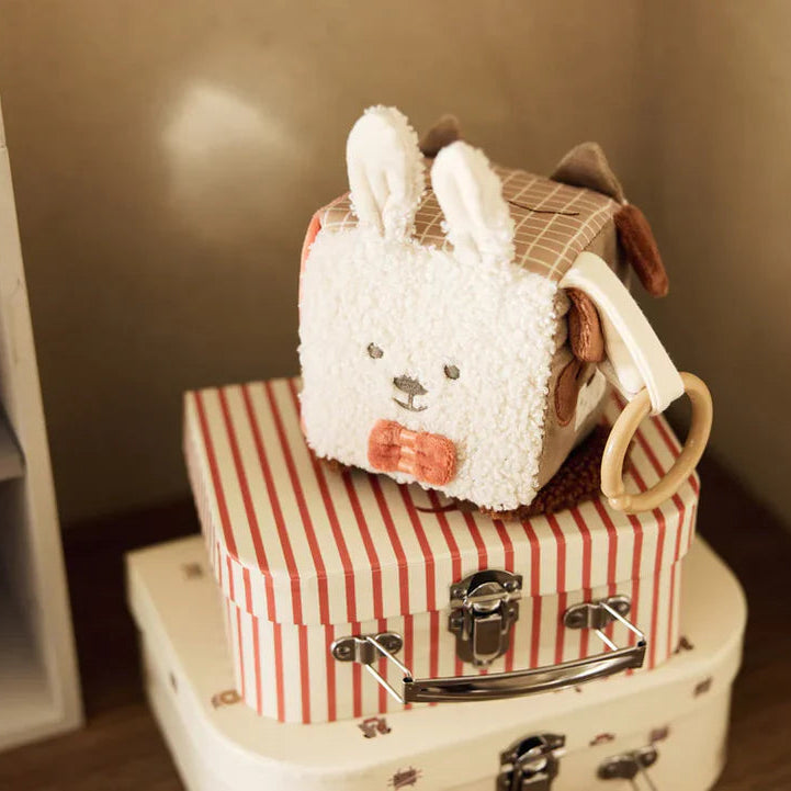 Activiteitenkubus Animal Friends - Jollein